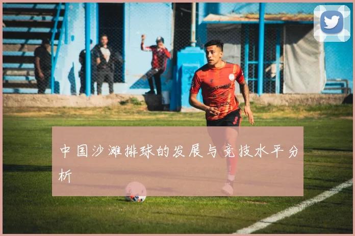 中国沙滩排球的发展与竞技水平分析